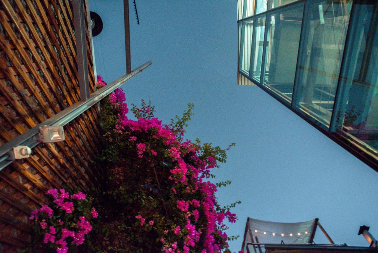 Bella 269 Guest House Σαντιάγκο Εξωτερικό φωτογραφία