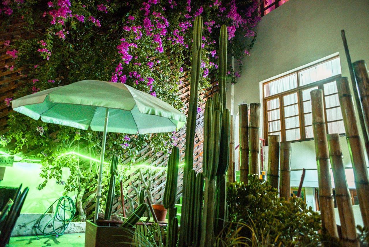 Bella 269 Guest House Σαντιάγκο Εξωτερικό φωτογραφία